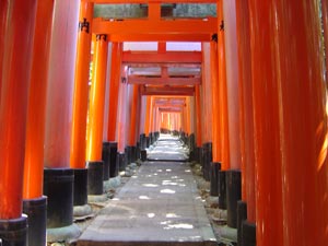 shinto gates